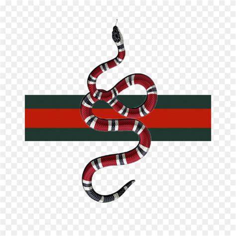 serpente gucci disegno|Gucci snake designs.